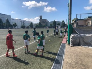 20200905-%e5%ba%9c%e3%83%aa%e3%83%bc%e3%82%b0%e4%b8%8b%e9%b3%a5%e7%be%bd_200907_15