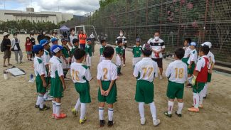 line_448788956685413