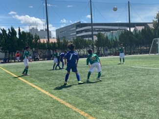 line_449474010200360