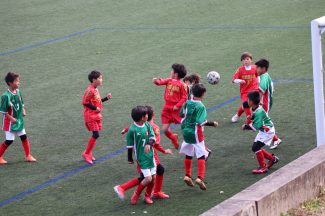 448dfa30-e512-48af-bdc6-91b1d4fbe126